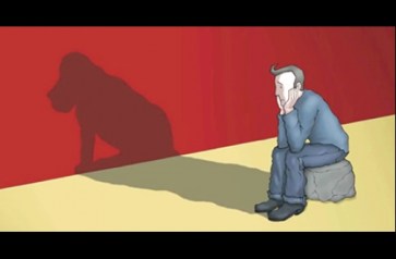 9193a8fcc748d87875e37e981d776868_506_332