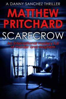Scarecrow cover