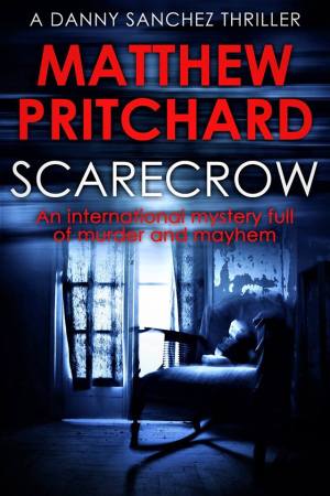 Scarecrow cover